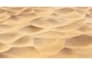 create custom textures for games and environments