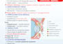 create lectures, notes and presentation for optometry or ophthalmology