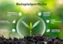 create professional powerpoint and canva presentations for you