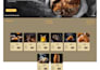 build a responsive ecommerce website with PHP mysql cart and checkout system