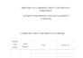 perform complete security audit with mitigation plan