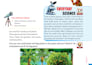 do professional book layout and formatting in adobe indesign