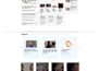 build modern budget friendly wordpress website, inbox to get offer