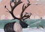 illustrate your picture books
