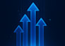perform a professional cyber security audit for your business