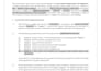draft legal contracts, ndas, and business agreements