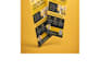 do professional and eye catching flyer for your business