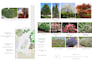 design small garden, backyard landscape and planting design