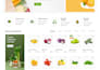 create a professional woo commerce website or online store