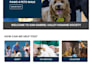 build godaddy website design or redesign godaddy website godaddy ecommerce store