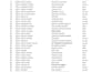 clean,format,entry remove dpl,blank row column pivt table