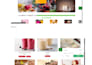 develop professional ecommerce website or business website