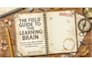 create a professional presentation slide deck and  infographic from your content