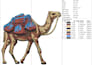 provide quick embroidery file within an hour