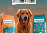 create professional and modern graphic design for your business