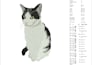 do best embroidery digitizing for your pet digitizing
