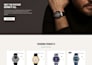 build or redesign a wordpress ecommerce website