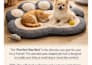 write viral product descriptions that boost sales