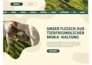 design modern tilda website or landing page