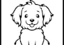draw digital animals for toddlers colouring book