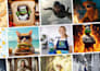 generate or fix high quality ai images and ai photoshoot