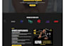 build wordpress website development, design or customize business website