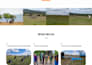 create you a functional website for you