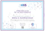 perform expert web app and API penetration testing