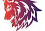 do any graphic design task in adobe illustrator and adobe photoshop