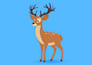 create cute animal illustrations for kids projects