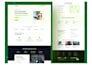 do professional responsive website, dashboard, mobile apps