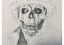 create a professional stippling and dotwork ink illustration