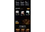 professional HTML CSS javascript website development