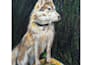 create hand drawn portraits and landscape in oil