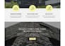 design a professional wordpress website with content