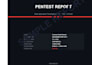 perform a webapp penetration test with a professional report