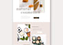 develop professional outlook HTML email template