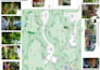 design your landscape garden with a detailed outdoor plan