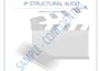 provide a professional IP structural audit script doctor