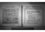 fast typing work from PDF to word or images