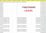 provide bulk timeshare owner leads USA