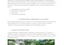 proofread and edit articles blogs and academic content