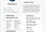 design a professional ats resume and CV