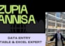 do data entry, data cleaning, and database management using excel