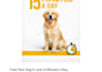 create a professional dog training ebook pet guide