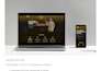 build a responsive business website using HTML CSS and javascript
