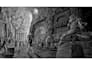 draw professional black and white illustrations