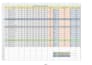 excel formatting, analysis, cleaning data
