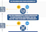 create a professional infographic workflow design