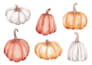 draw watercolor clipart, set of illustrations